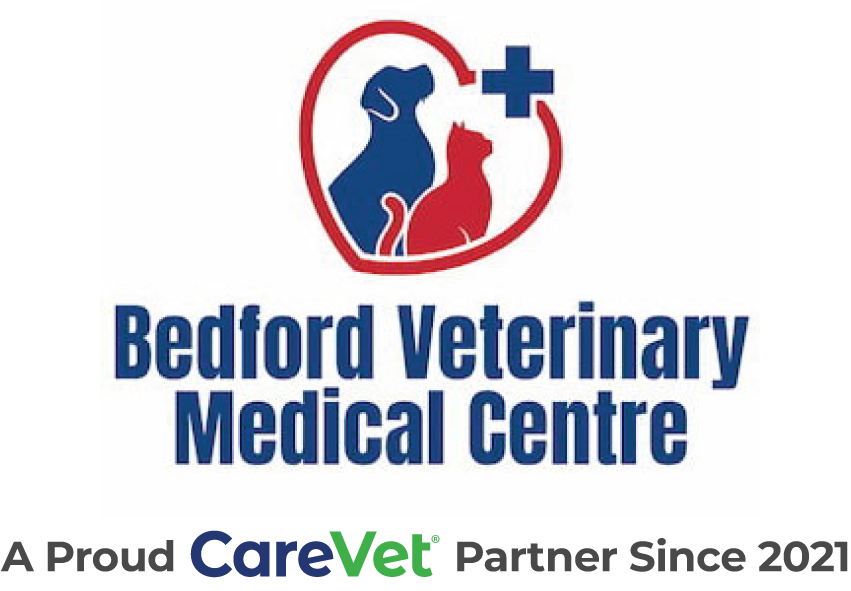 Bedford Veterinary Medical Center Logo